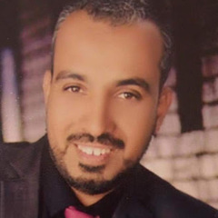 Sabry Hussein Mohamed Essa Essa, Civil Area Manager