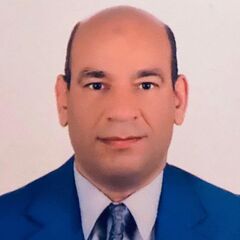 Sameh Ibrahim, Information Technology Specialist