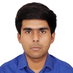 Chirag Chanaliya, travel consultant