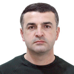 nika janashvili, Head of Laboratory Service-Engineers