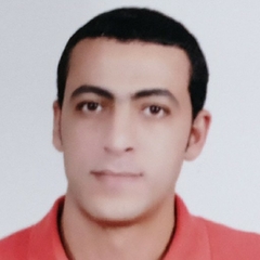 Mohamed Zaghloul, مندوب مبيعات
