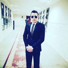 Hossam Hassan Ibrahim Abdelhamed