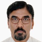 Sudhir K Soni, --- Independent Technical Consultant