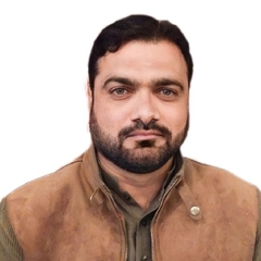 HASSAN SHEHZAD