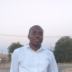 Motlhokomedi Kgosietsile, Telecommunications Coordinator 