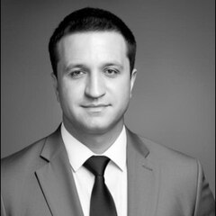 Artem Perkov, Business Consultant