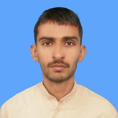 Muhammad Aaqib Gul, IT Specialist