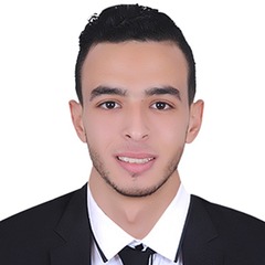 Ahmed AbdEllah Mohamed Mohamed Elazizi Elfeki
