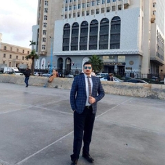 hussein ahmed  elsharkawy