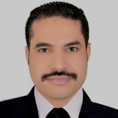 أحمد عبد السلام احمد 