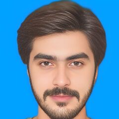 Sulman Malik Malik