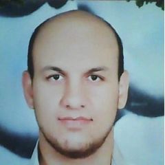 Mohamed Ahmed Mostafa, Accountant tax