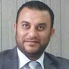 Mohamed Saleh, Projects Manager