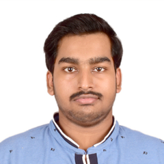 Archit Bhargava, Software Developer