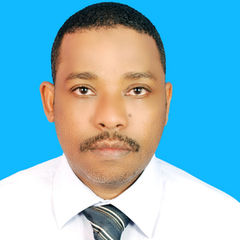 عمر محمد الامين عبدالرازق, Civil Engineer