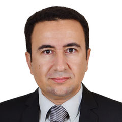 Mahmoud  Nour Eldin, Interface Functional Manager
