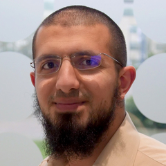 Hosam Aly, Senior Software Engineer / Tech Lead (contractor)