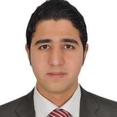 Ahmed Shaban, Credit risk officer