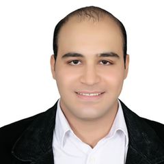 Mahmoud AboElHassan ghamry ELsayeh, باحث ومحامى