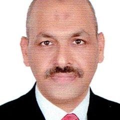 Rashad  Maher Kotp Ali El-Assal El-Assal, Financial Manager