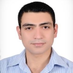 MR-Ashraf El-araby gad ibrahim