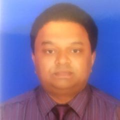 Rajesh Bhaskaran, Business Financial Consultant
