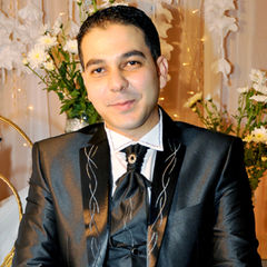 Ayman Mohammed Hassanin, محاسب