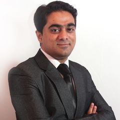 Mohammed Mearaj Ansari, Management Consultant