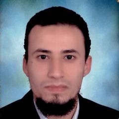 محمد سعيد على عبدالنبى, Senior PHP Developer