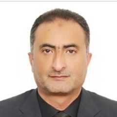 محمد الشعراوي, Division General Manager