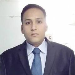 Ahmed Abd El Hadi Ali Mohmad Radwan radwan, محامي حر