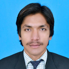 Muhammad Zahid, Teacher
