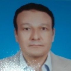 Mohamed Abdel-moaez, Technical Office Manager
