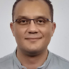 Mohamed Radwan