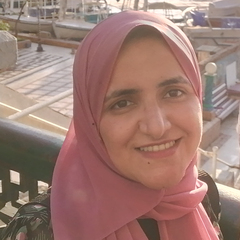 Shimaa hassan Ibrahim, Senior UI Developer