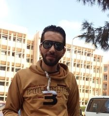 mohamed abd el azeem  faramawy, أخصائي مساحه