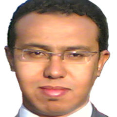أحمد حلمي, مهندس اختبارات
