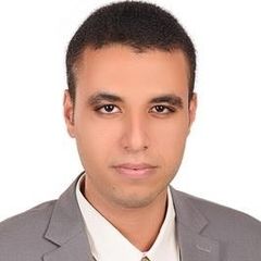 Ahmed Hamdy Soliman Farrag, محاسب عام للشركة