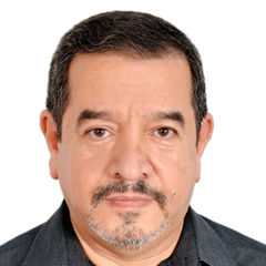 mouhammad emad Rafei, مدير تنفيذي