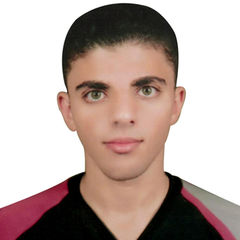 ahmed hashhash, طالب بمشروع التخرج (ِAGV)