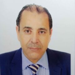 Ben Abdallah Mohamed, Project Manager
