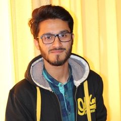 Bilal tariq, Freelance web developer