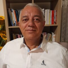 عاصم سبيتان , MEP Project Manager