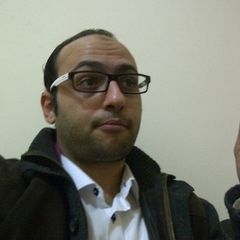 جمال الدين الشامي,  Internal Auditor