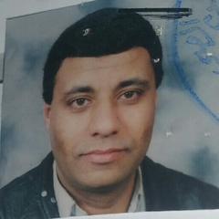 Essam Mahmoud, Factory Manager