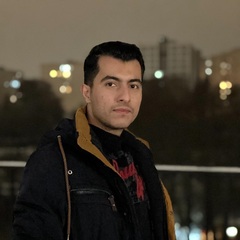 Hamidreza Mohammadzadeh, Data Analysis consultant (Remote)