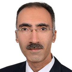 Hany Michel Gabra