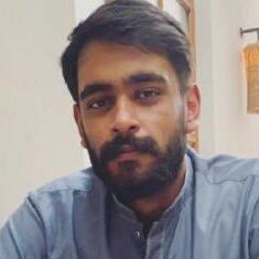 Hafiz Hamza Ahmed, Full-stack Software Developer