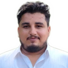 Muhammad Waqas Sardar