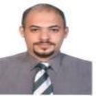 أحمدعبد العظيم احمد محمد على, Financial Manager